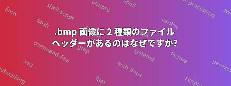 .bmp 画像に 2 種類のファイル ヘッダーがあるのはなぜですか?