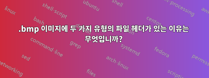 .bmp 이미지에 두 가지 유형의 파일 헤더가 있는 이유는 무엇입니까?