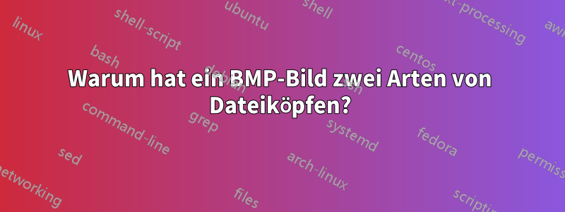 Warum hat ein BMP-Bild zwei Arten von Dateiköpfen?