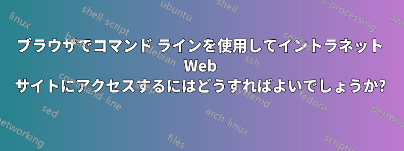 ブラウザでコマンド ラインを使用してイントラネット Web サイトにアクセスするにはどうすればよいでしょうか?