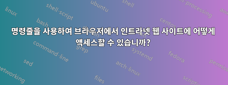 명령줄을 사용하여 브라우저에서 인트라넷 웹 사이트에 어떻게 액세스할 수 있습니까?