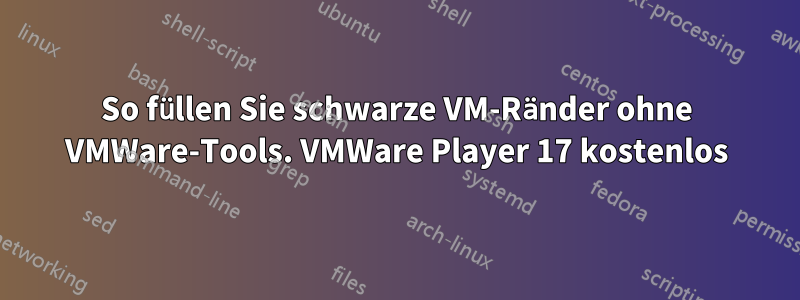 So füllen Sie schwarze VM-Ränder ohne VMWare-Tools. VMWare Player 17 kostenlos