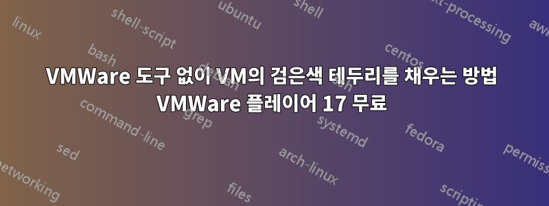 VMWare 도구 없이 VM의 검은색 테두리를 채우는 방법 VMWare 플레이어 17 무료