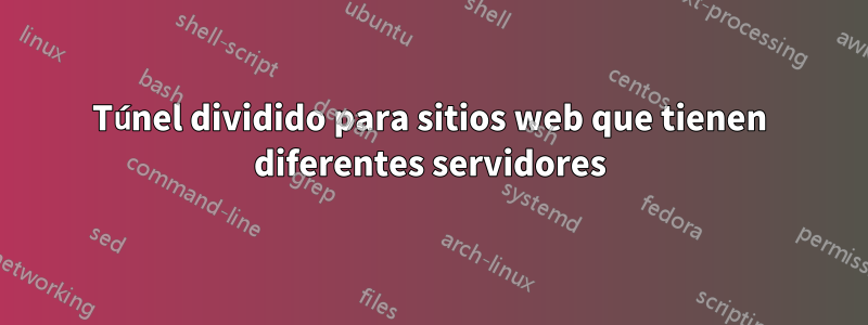 Túnel dividido para sitios web que tienen diferentes servidores