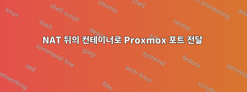 NAT 뒤의 컨테이너로 Proxmox 포트 전달