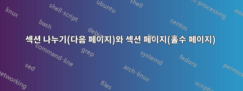 섹션 나누기(다음 페이지)와 섹션 페이지(홀수 페이지)