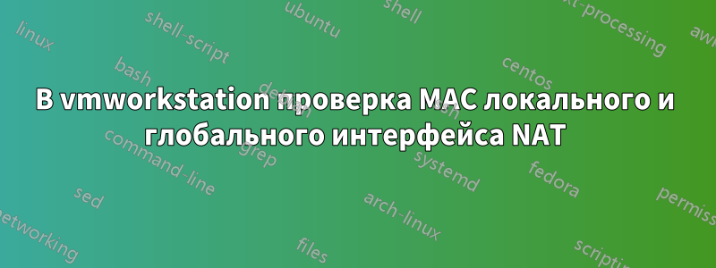 В vmworkstation проверка MAC локального и глобального интерфейса NAT