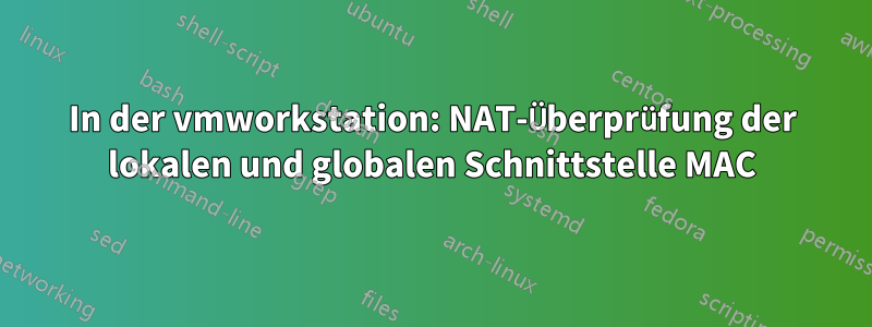 In der vmworkstation: NAT-Überprüfung der lokalen und globalen Schnittstelle MAC