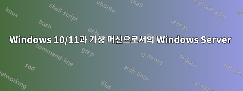 Windows 10/11과 가상 머신으로서의 Windows Server