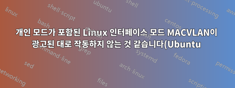 개인 모드가 포함된 Linux 인터페이스 모드 MACVLAN이 광고된 대로 작동하지 않는 것 같습니다(Ubuntu).