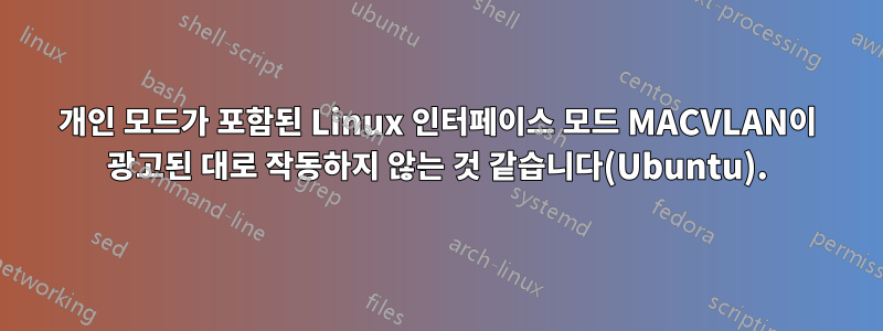개인 모드가 포함된 Linux 인터페이스 모드 MACVLAN이 광고된 대로 작동하지 않는 것 같습니다(Ubuntu).