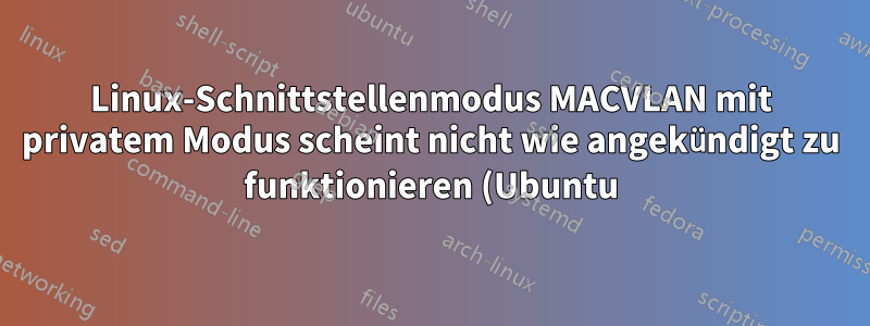 Linux-Schnittstellenmodus MACVLAN mit privatem Modus scheint nicht wie angekündigt zu funktionieren (Ubuntu)