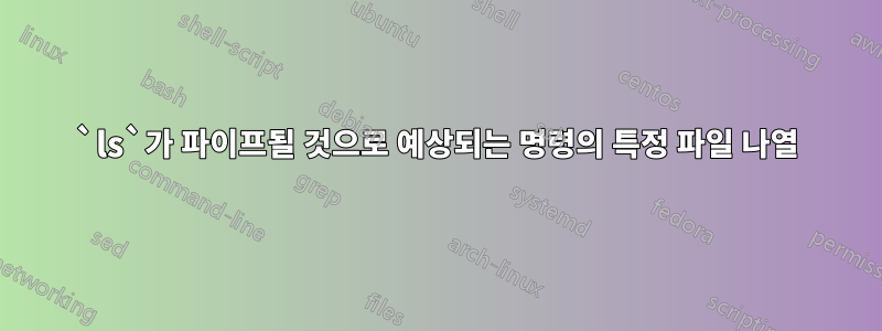 `ls`가 파이프될 것으로 예상되는 명령의 특정 파일 나열