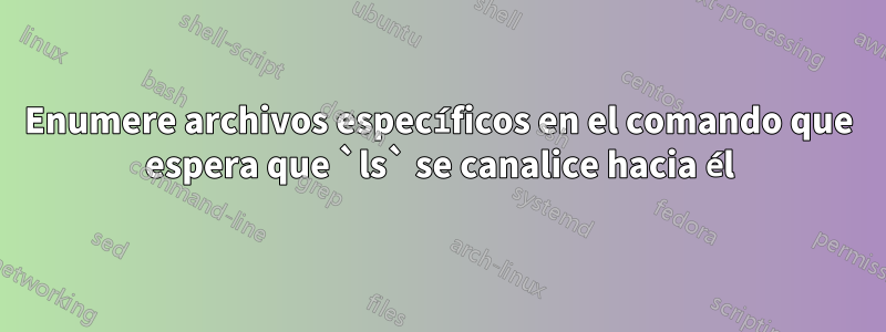 Enumere archivos específicos en el comando que espera que `ls` se canalice hacia él