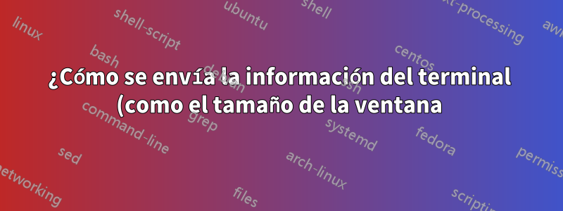 ¿Cómo se envía la información del terminal (como el tamaño de la ventana) a un programa de Linux?