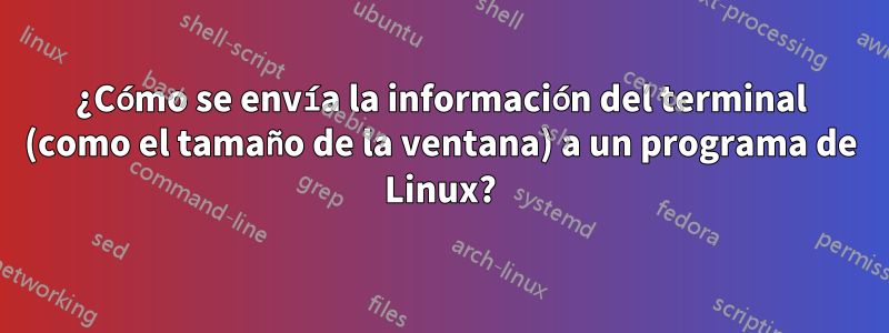 ¿Cómo se envía la información del terminal (como el tamaño de la ventana) a un programa de Linux?