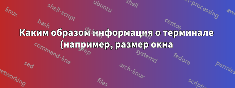Каким образом информация о терминале (например, размер окна) передается в программу Linux?