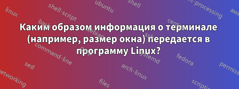 Каким образом информация о терминале (например, размер окна) передается в программу Linux?