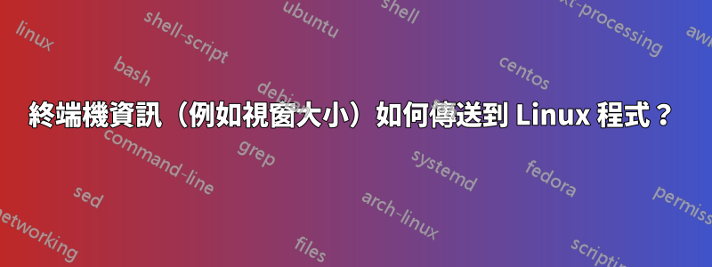 終端機資訊(例如視窗大小)如何傳送到 Linux 程式?