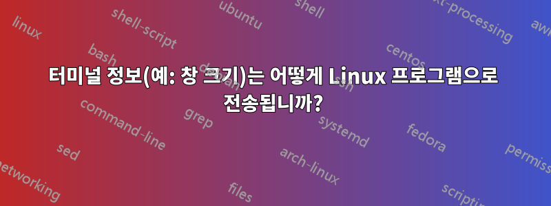터미널 정보(예: 창 크기)는 어떻게 Linux 프로그램으로 전송됩니까?
