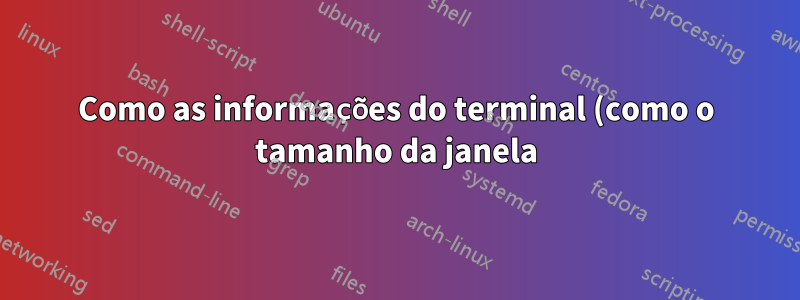 Como as informações do terminal (como o tamanho da janela) são enviadas para um programa Linux?