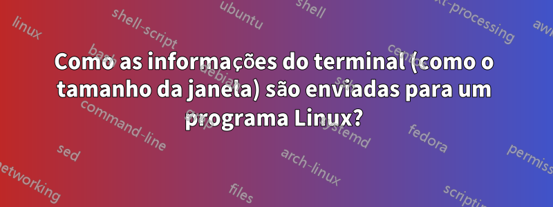 Como as informações do terminal (como o tamanho da janela) são enviadas para um programa Linux?