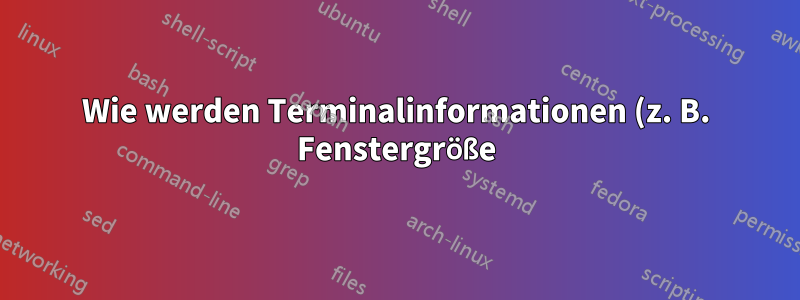 Wie werden Terminalinformationen (z. B. Fenstergröße) an ein Linux-Programm gesendet?