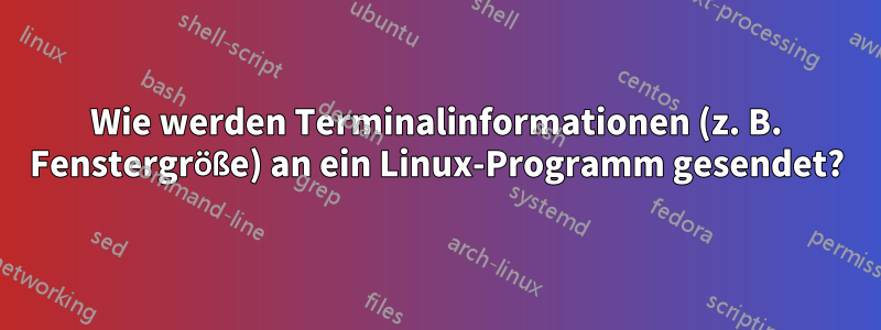 Wie werden Terminalinformationen (z. B. Fenstergröße) an ein Linux-Programm gesendet?