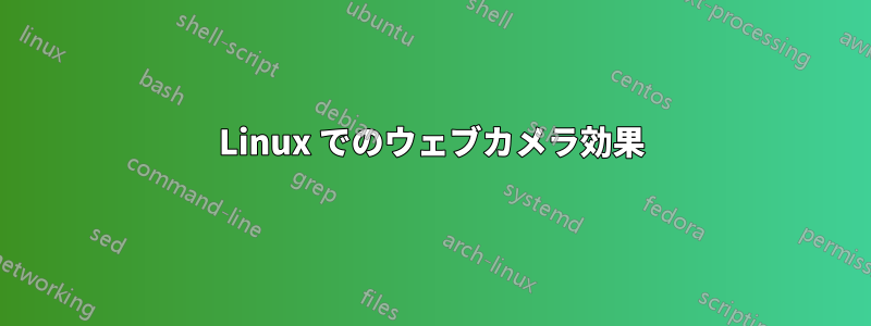 Linux でのウェブカメラ効果