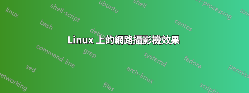 Linux 上的網路攝影機效果