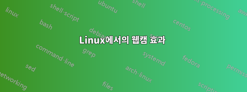 Linux에서의 웹캠 효과