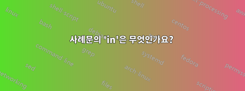 사례문의 'in'은 무엇인가요?