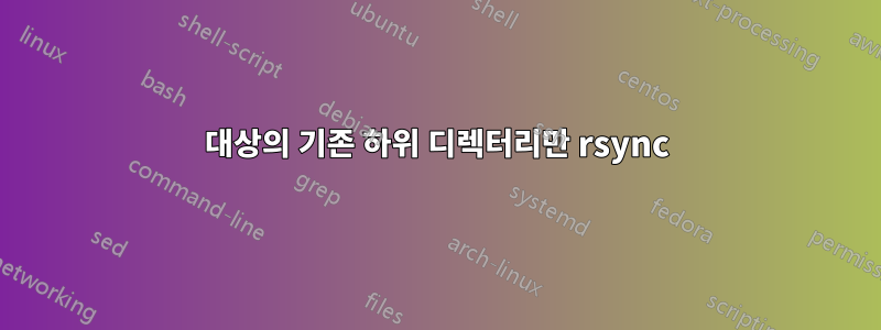 대상의 기존 하위 디렉터리만 rsync