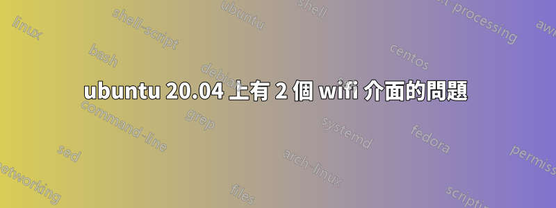 ubuntu 20.04 上有 2 個 wifi 介面的問題