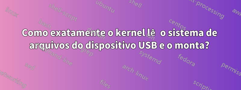 Como exatamente o kernel lê o sistema de arquivos do dispositivo USB e o monta?