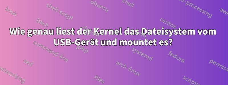 Wie genau liest der Kernel das Dateisystem vom USB-Gerät und mountet es?