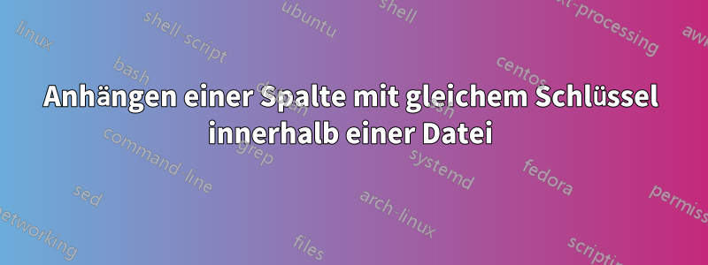 Anhängen einer Spalte mit gleichem Schlüssel innerhalb einer Datei