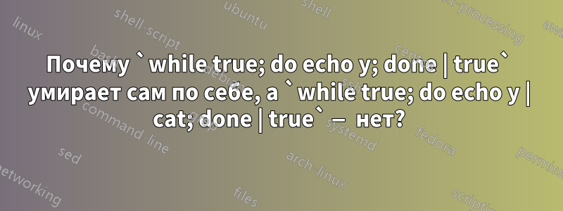 Почему `while true; do echo y; done | true` умирает сам по себе, а `while true; do echo y | cat; done | true` — нет?