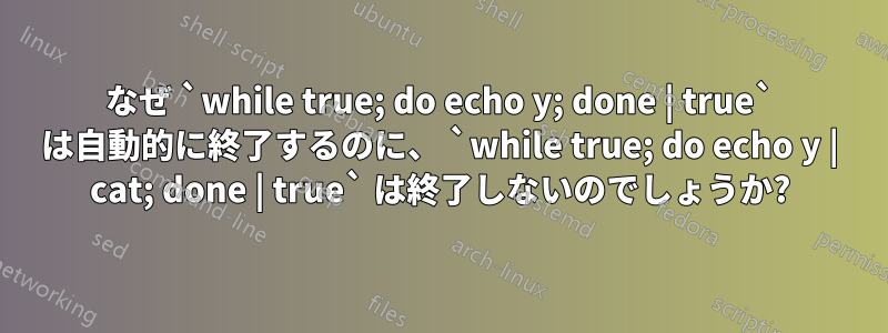 なぜ `while true; do echo y; done | true` は自動的に終了するのに、 `while true; do echo y | cat; done | true` は終了しないのでしょうか?