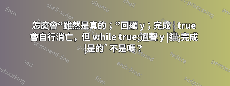 怎麼會“雖然是真的；”回顯 y；完成 | true 會自行消亡，但 while true;迴聲 y |貓;完成 |是的`不是嗎？