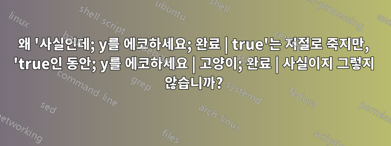 왜 '사실인데; y를 에코하세요; 완료 | true'는 저절로 죽지만, 'true인 동안; y를 에코하세요 | 고양이; 완료 | 사실이지 그렇지 않습니까?