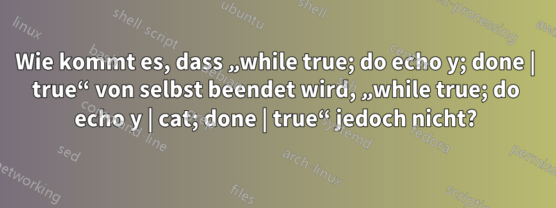 Wie kommt es, dass „while true; do echo y; done | true“ von selbst beendet wird, „while true; do echo y | cat; done | true“ jedoch nicht?