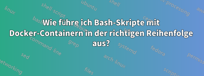 Wie führe ich Bash-Skripte mit Docker-Containern in der richtigen Reihenfolge aus?