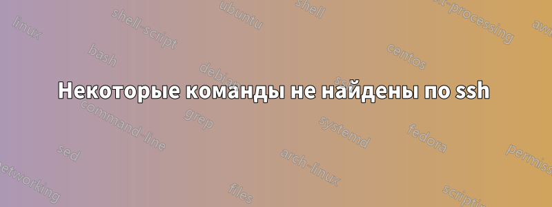 Некоторые команды не найдены по ssh