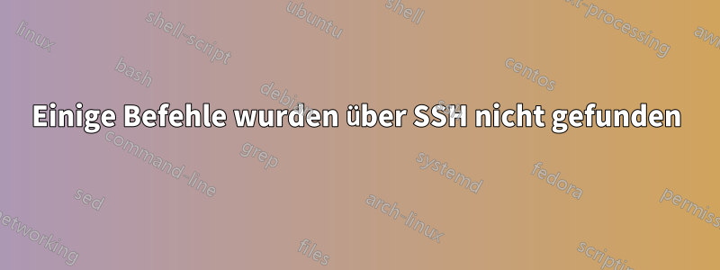Einige Befehle wurden über SSH nicht gefunden