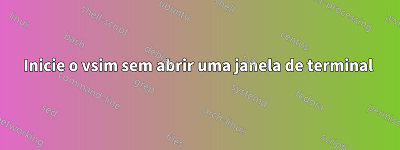 Inicie o vsim sem abrir uma janela de terminal