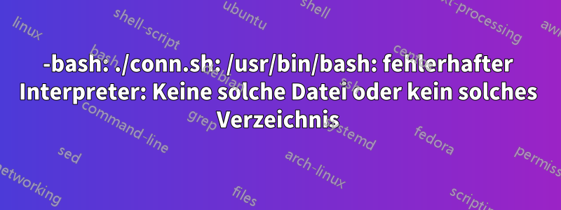 -bash: ./conn.sh: /usr/bin/bash: fehlerhafter Interpreter: Keine solche Datei oder kein solches Verzeichnis