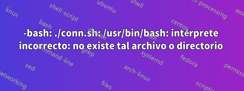 -bash: ./conn.sh: /usr/bin/bash: intérprete incorrecto: no existe tal archivo o directorio