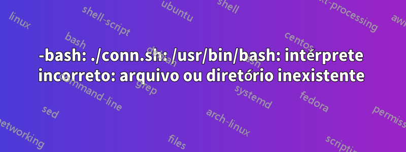 -bash: ./conn.sh: /usr/bin/bash: intérprete incorreto: arquivo ou diretório inexistente