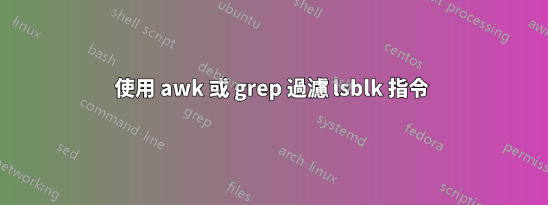 使用 awk 或 grep 過濾 lsblk 指令